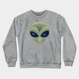 Al Ein Crewneck Sweatshirt